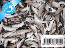 Бычки тушки на шкуре свежемороженые